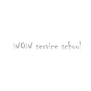 WOW Service school