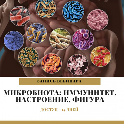Микробиота: иммунитет, настроение, фигура