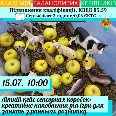 Літній кейс сенсорних коробок: креативне наповнення та ігри.